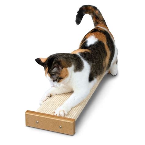 Elevate Your Cat's Scratching Game with the Witchcraft Synthesizer Cat Scratcher